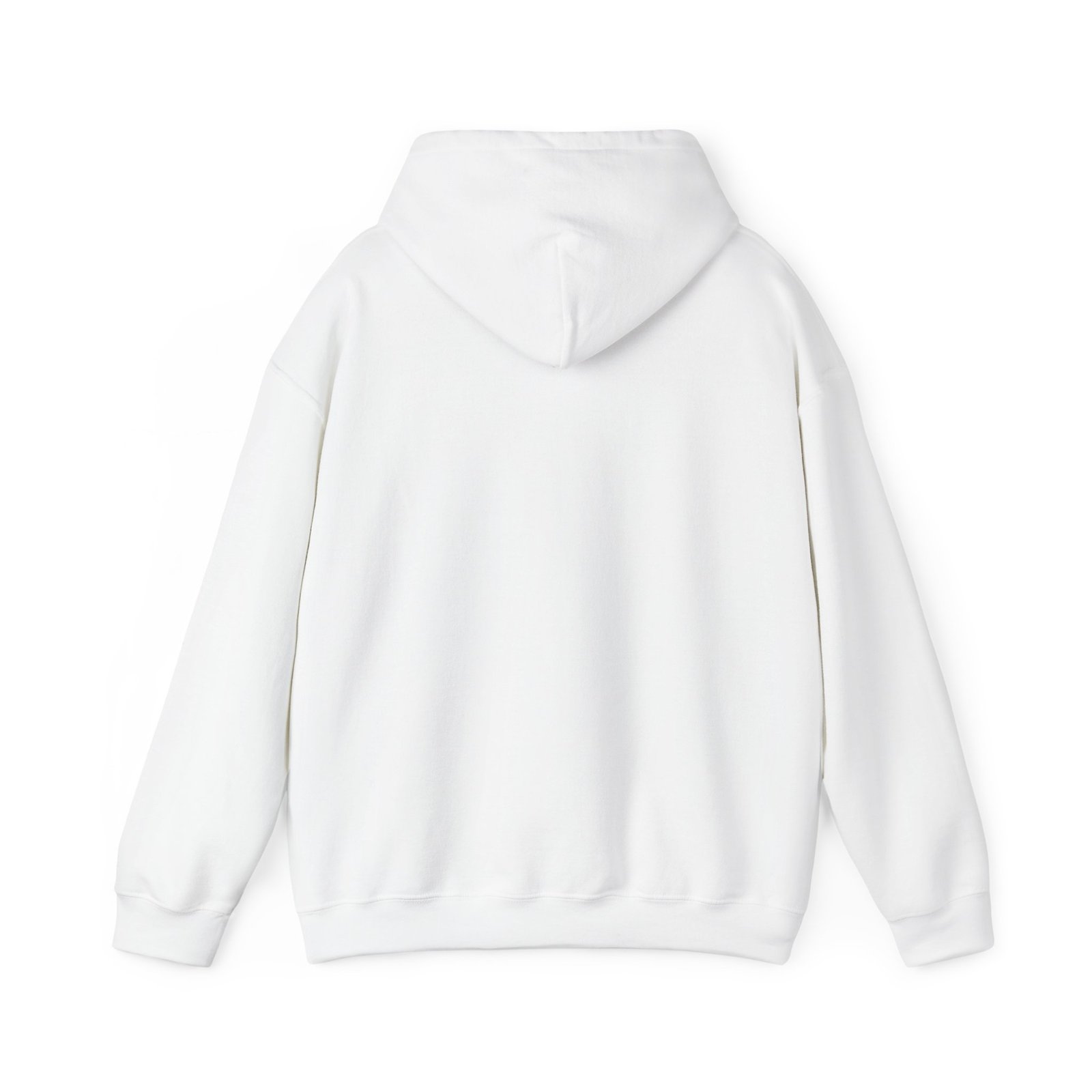 No One Is Illegal on Stolen Land Statement Design Hoodie - Image 2